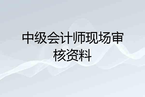 中级会计师现场审核资料