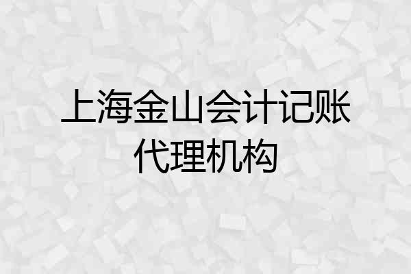 上海金山会计记账代理机构