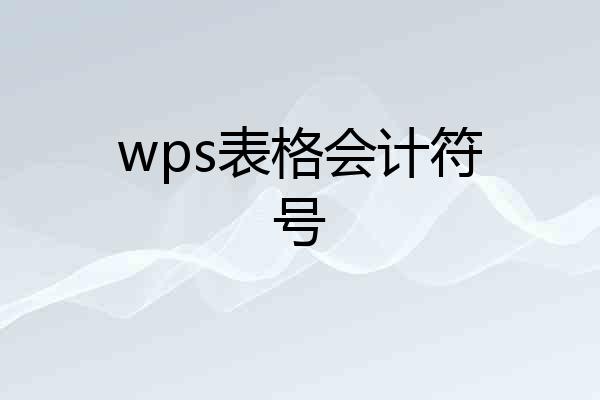 wps表格会计符号
