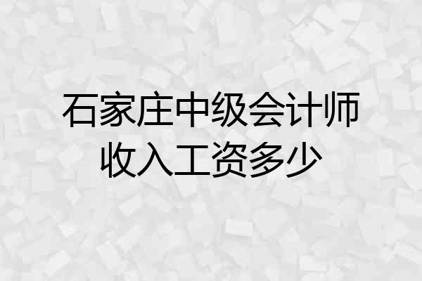石家庄中级会计师收入工资多少
