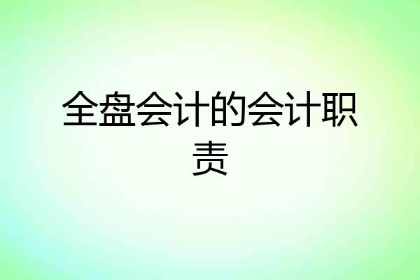 全盘会计的会计职责
