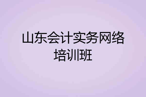 山东会计实务网络培训班