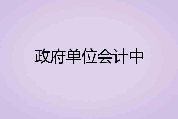 政府单位会计中
