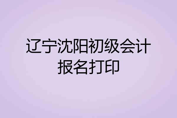 辽宁沈阳初级会计报名打印