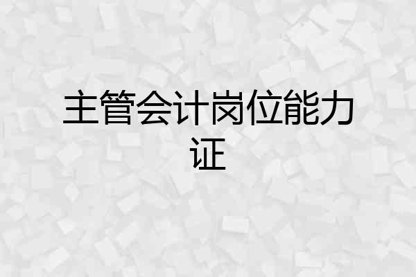 主管会计岗位能力证