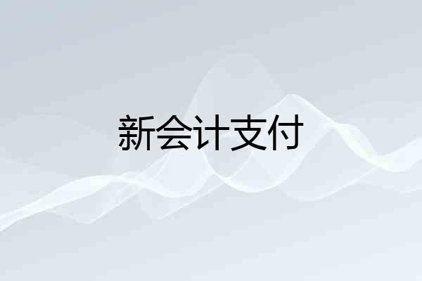 新会计支付