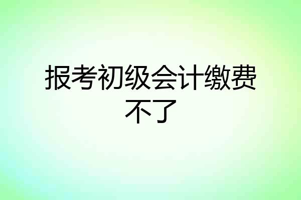报考初级会计缴费不了