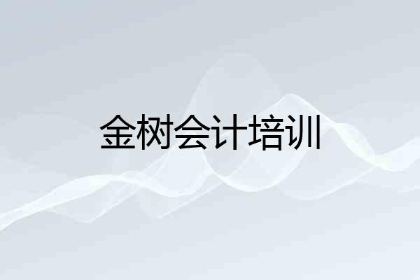 金树会计培训