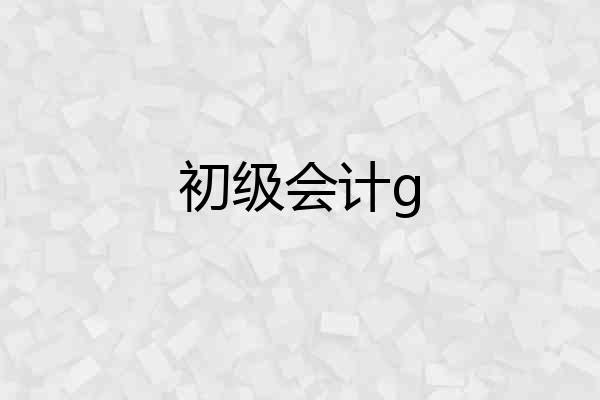 初级会计g