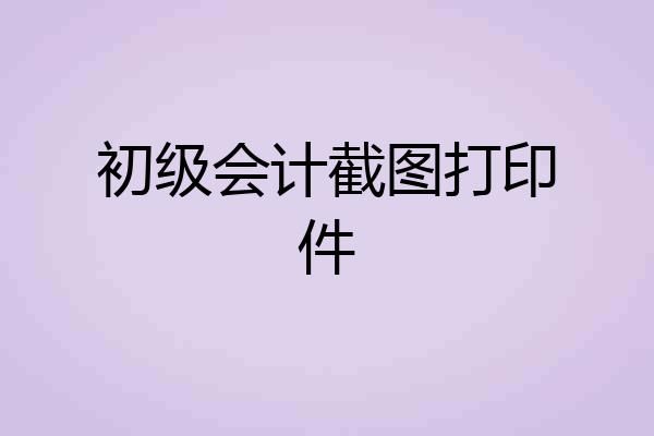 初级会计截图打印件