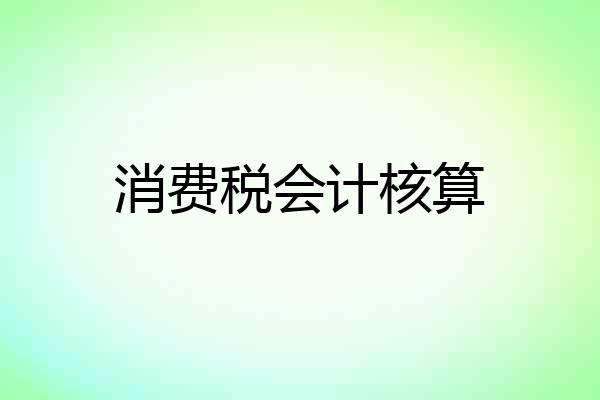 消费税会计核算