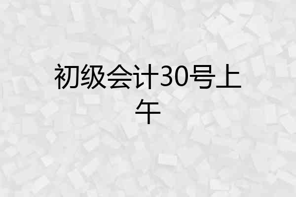 初级会计30号上午