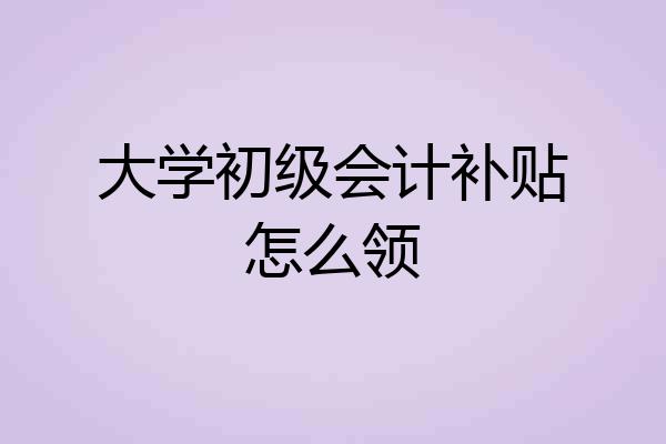 大学初级会计补贴怎么领