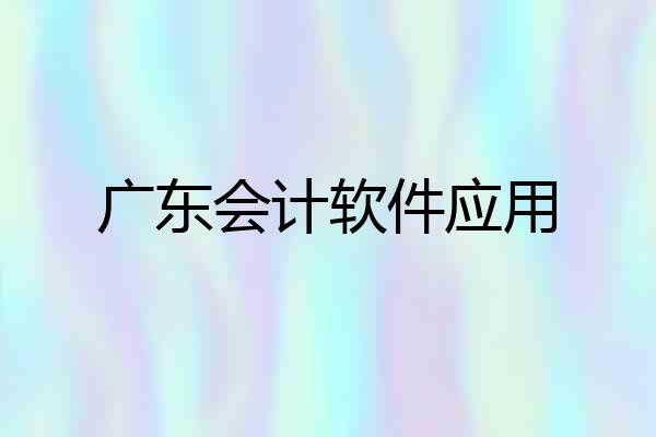 广东会计软件应用