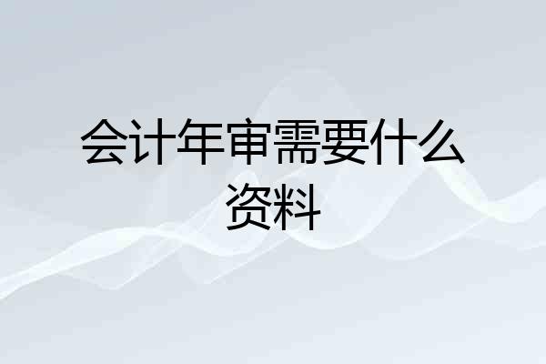 会计年审需要什么资料