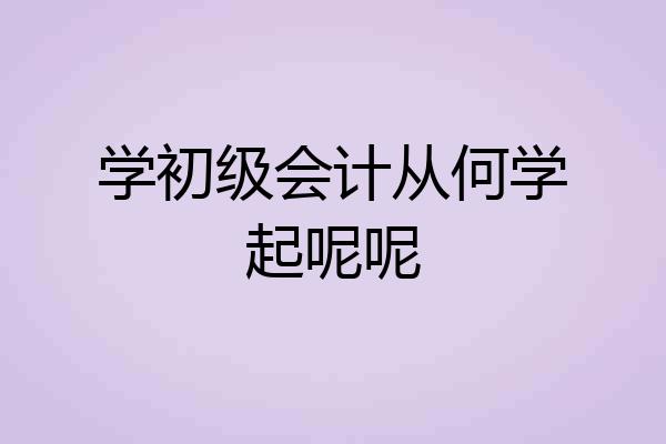 学初级会计从何学起呢呢