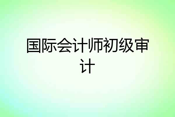 国际会计师初级审计
