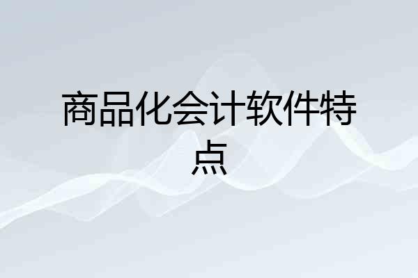 商品化会计软件特点