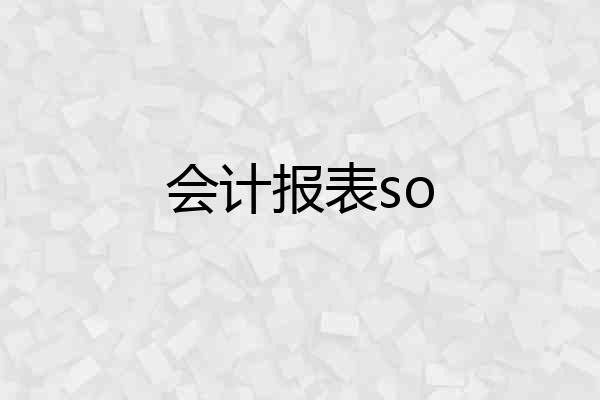 会计报表so