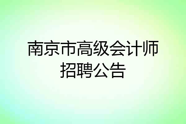 南京市高级会计师招聘公告