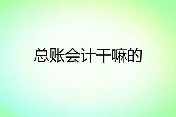 总账会计干嘛的