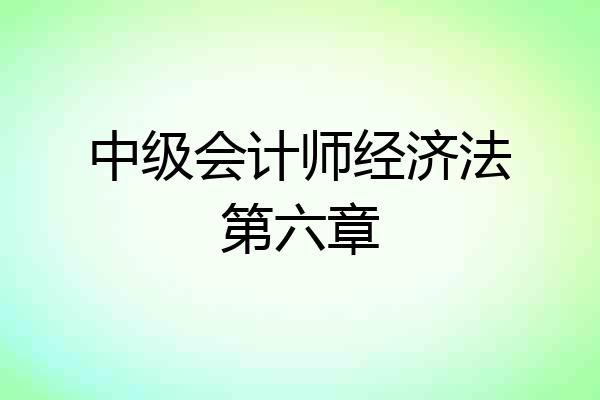 中级会计师经济法第六章