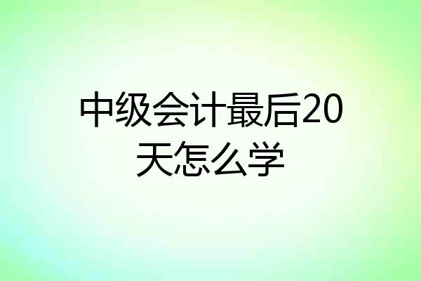 中级会计最后20天怎么学