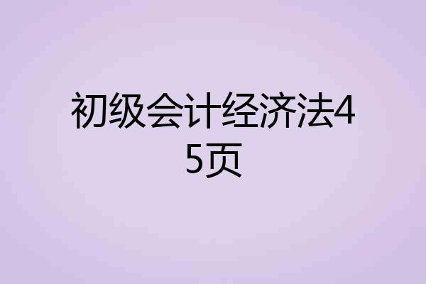 初级会计经济法45页