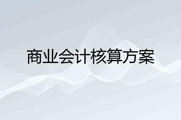 商业会计核算方案