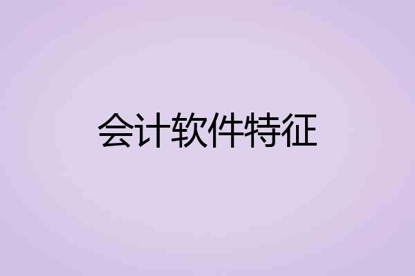 会计软件特征