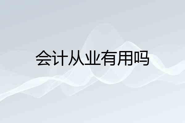 会计从业有用吗