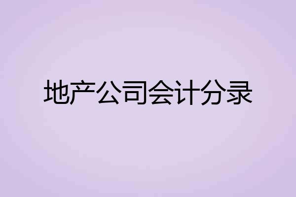 地产公司会计分录