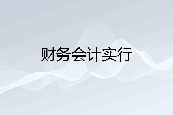 财务会计实行