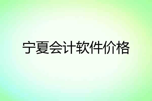 宁夏会计软件价格