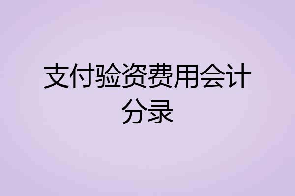 支付验资费用会计分录