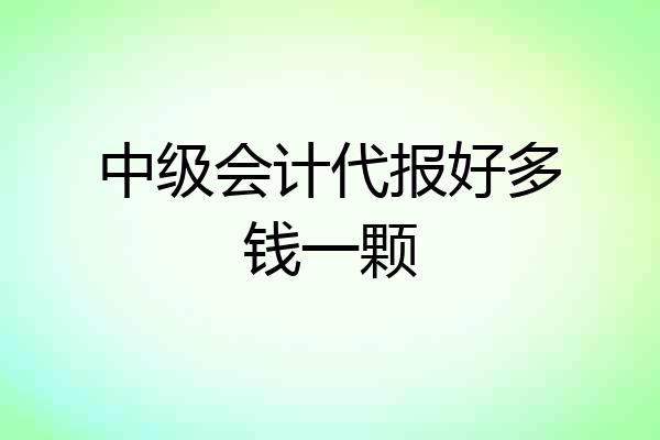 中级会计代报好多钱一颗