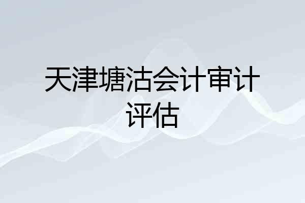 天津塘沽会计审计评估