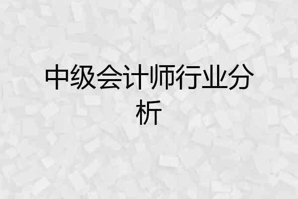 中级会计师行业分析