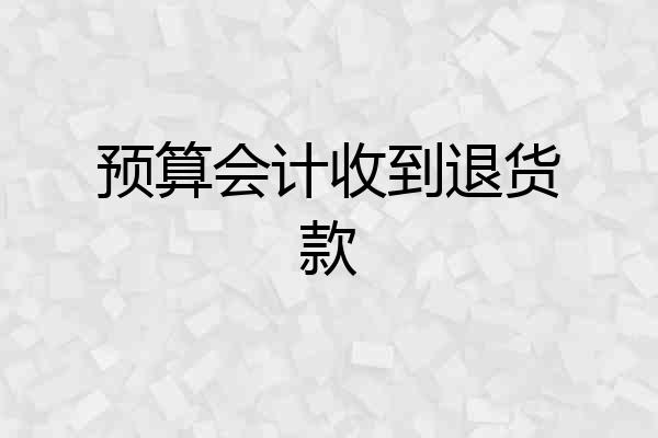 预算会计收到退货款