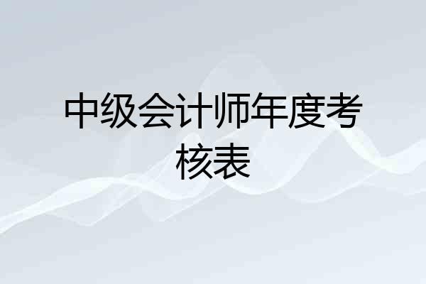 中级会计师年度考核表
