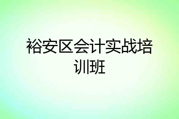 裕安区会计实战培训班