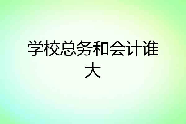 学校总务和会计谁大