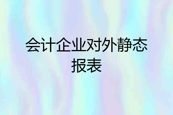 会计企业对外静态报表