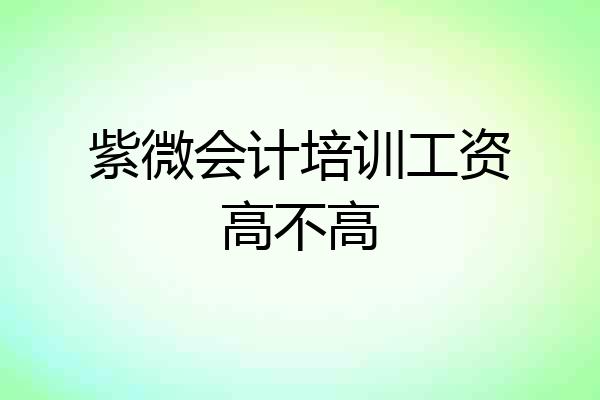 紫微会计培训工资高不高