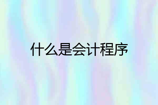 什么是会计程序