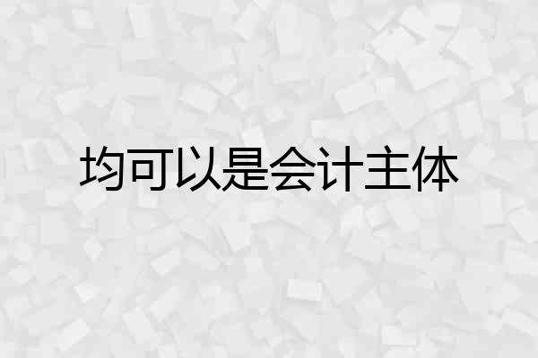 均可以是会计主体