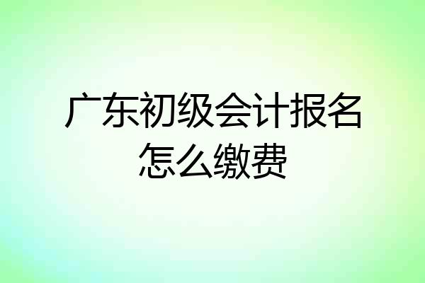 广东初级会计报名怎么缴费