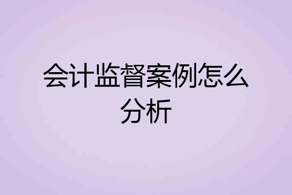 会计监督案例怎么分析
