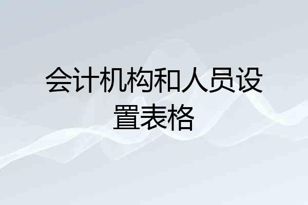 会计机构和人员设置表格