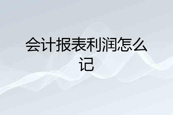 会计报表利润怎么记
